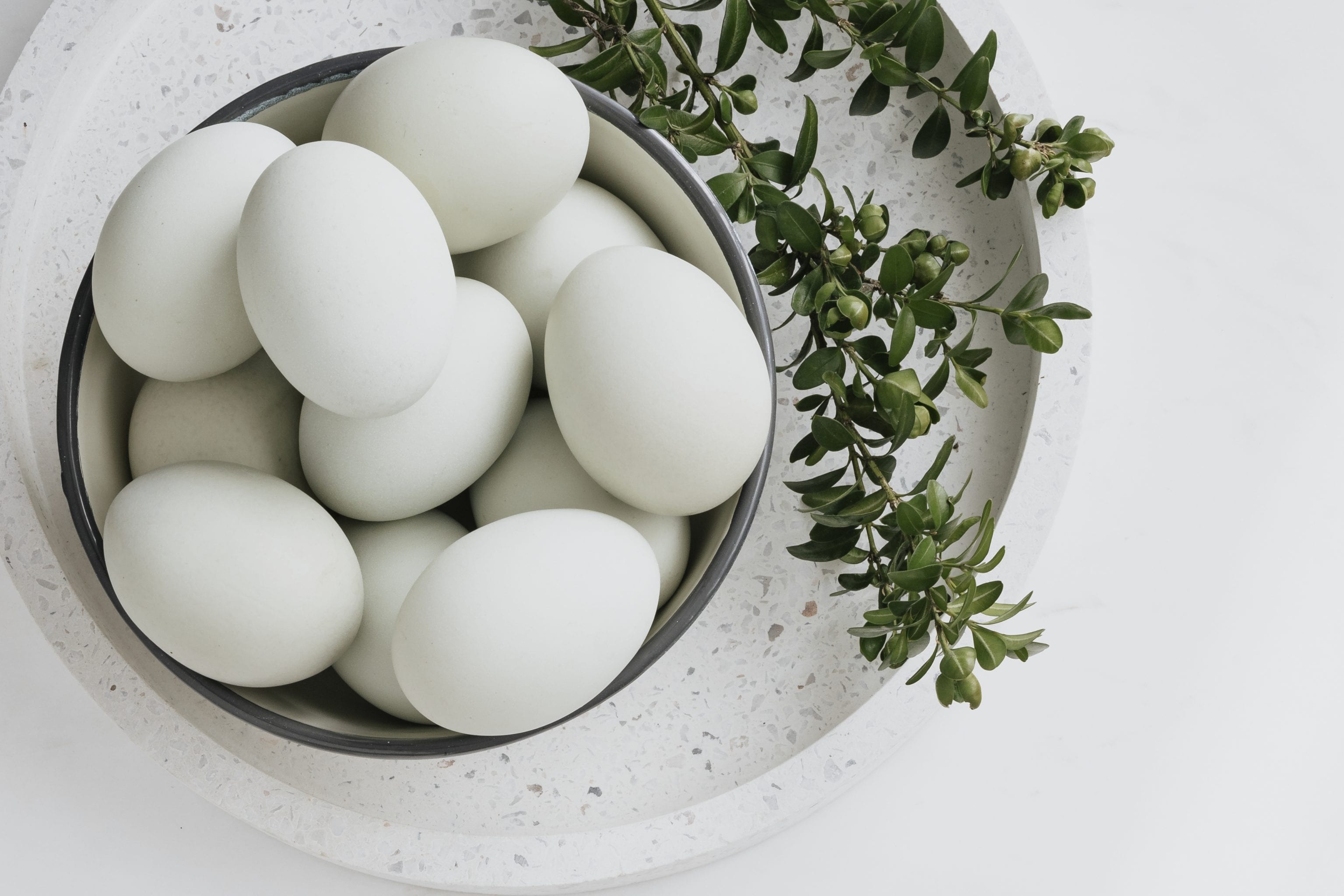 Bowl of Eggs White